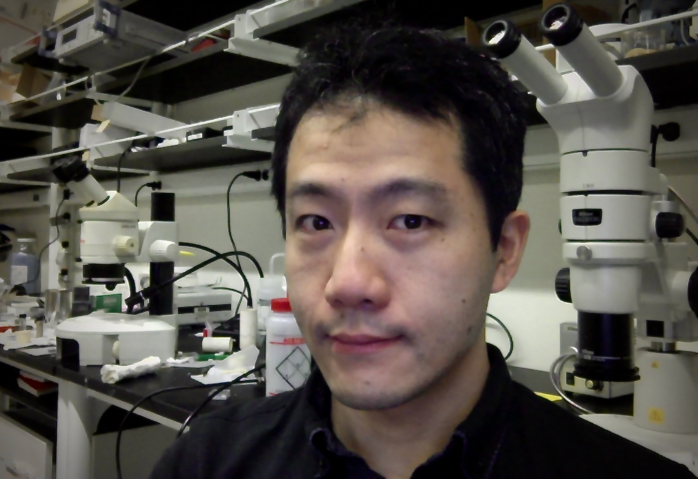 Takahiro Matsuoka | Mandrus Research Group